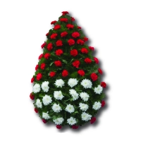 Coroana funerara garoafe si baza din crizantema 2